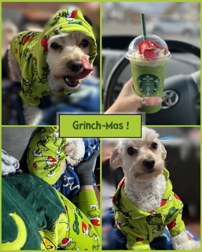 Grinch-inspired dog costume perfect for festive fun during Grinch-mas.