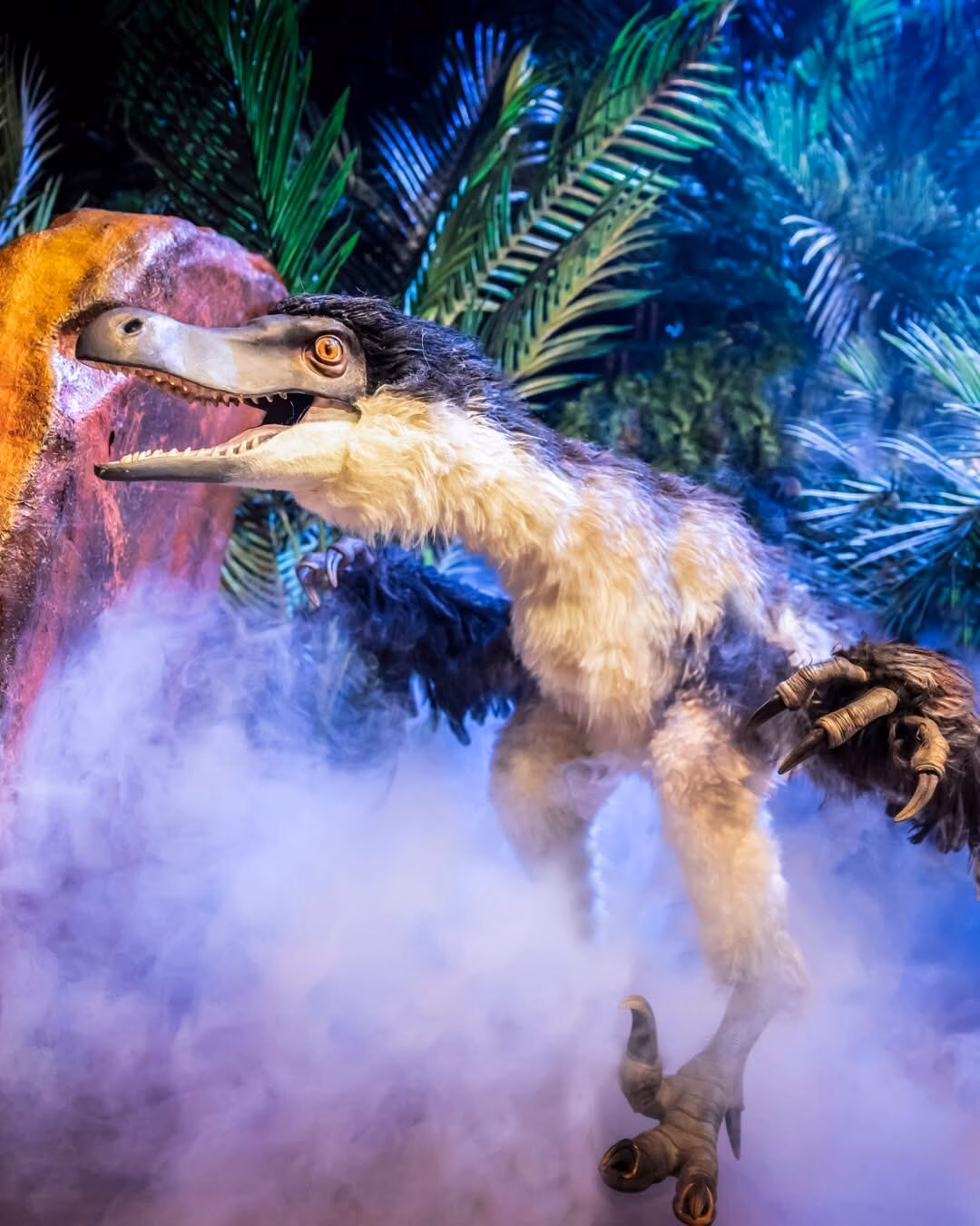 A feathered dinosaur puppet in Natural History Museum presents Dinosaurs Live.